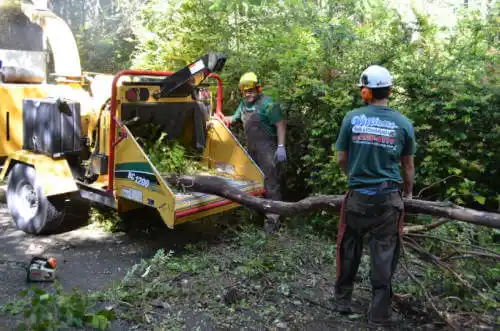 tree services Cabot